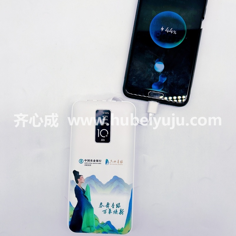 中国农业银行充电宝